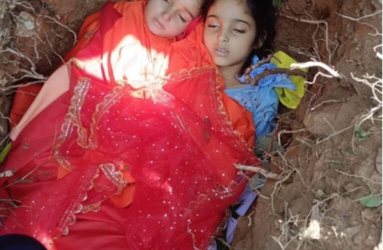 Two minor siblings die of snake bite in Reasi