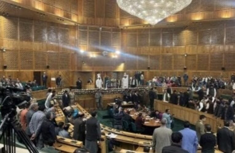 Ruckus in J-K Assembly’s first session after PDP MLA moves resolution against Article 370 abrogation, BJP protests